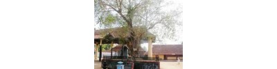 வைக்கம்